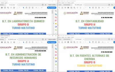 Grupos Nvo Ingreso