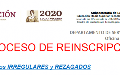 Proceso de Reinscripción Irregulares