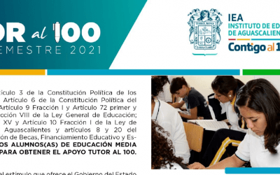 Beca Tutor al 100